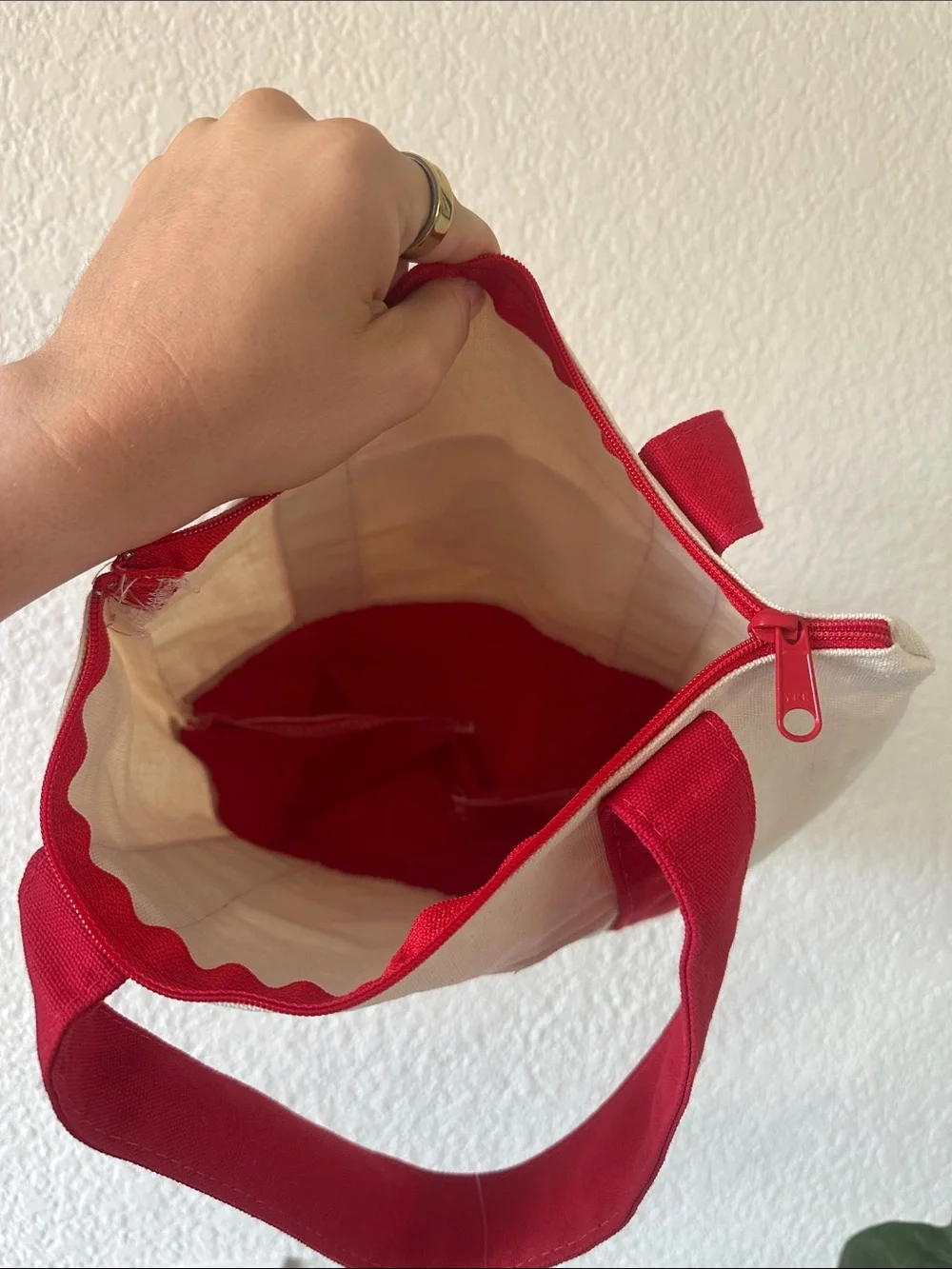 Trader Joe’s Red & Cream Mini Tote Bag—WITH ZIPPER 🤐